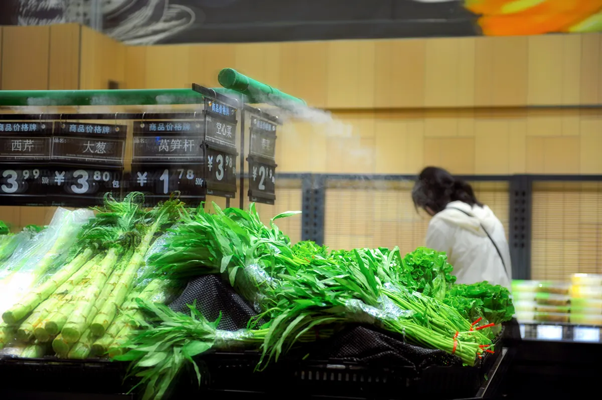Como alugar climatizador para supermercado e manter o ambiente climatizado?